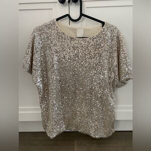 H&M Sequin Top
